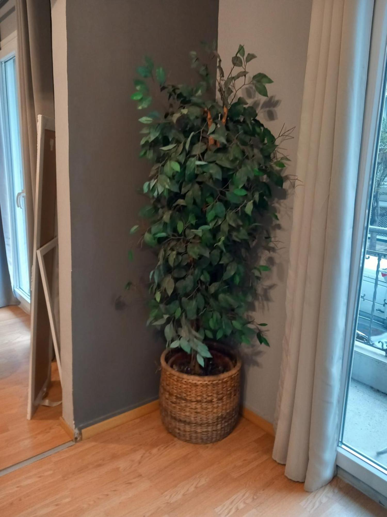 Closer "Egnatia Apartment 2" 塞萨洛尼基 外观 照片